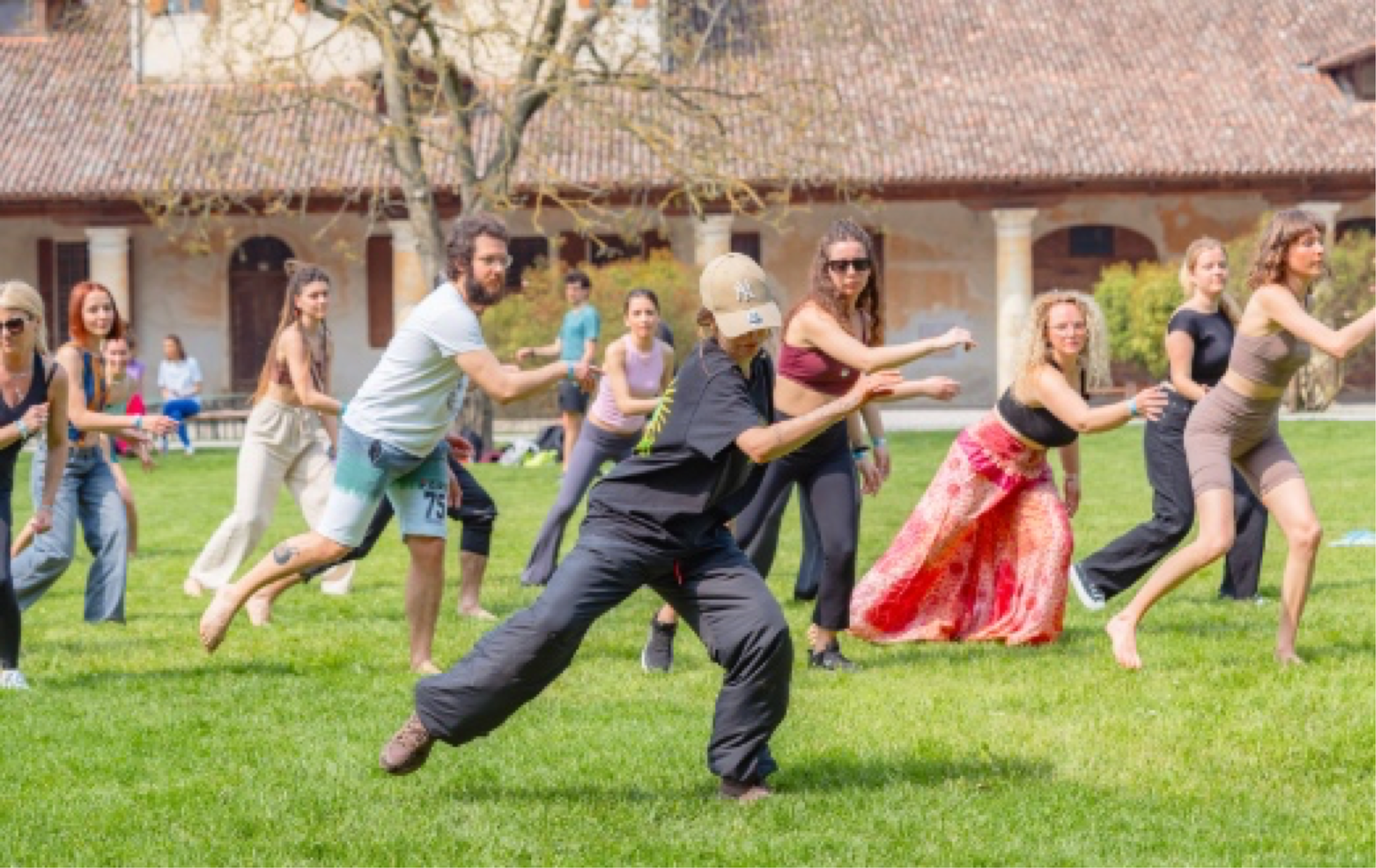 Flowmotion participants